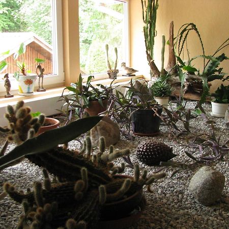 Hotel Asmonienes Sveciu Namai "Senoji Mokyklele" Smalininkai Esterno foto